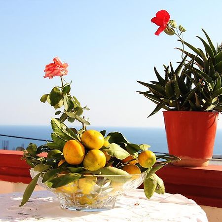 Alvanita Apartments Ulcinj Zewnętrze zdjęcie