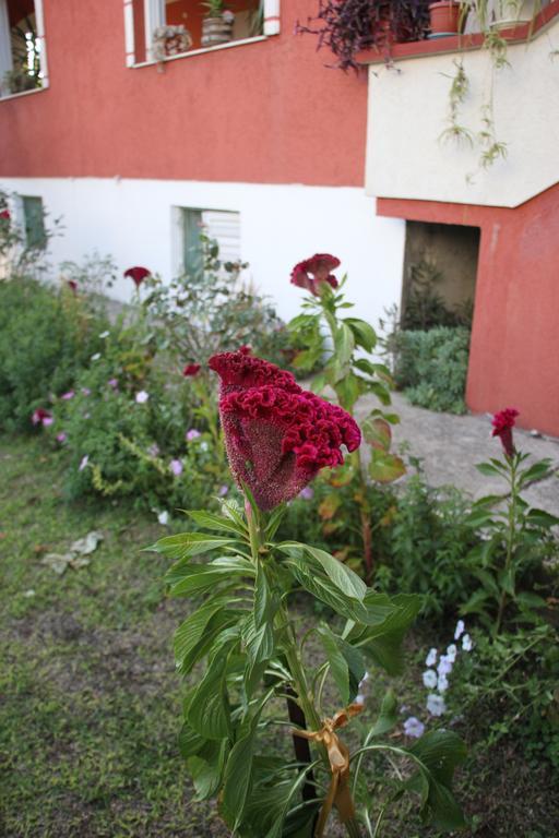 Alvanita Apartments Ulcinj Zewnętrze zdjęcie